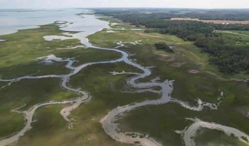 Photo #16 of 20 OYSTER RUN LANE, EASTVILLE, VA 713.0 acres