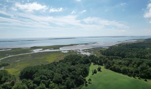 Photo #17 of 20 OYSTER RUN LANE, EASTVILLE, VA 713.0 acres