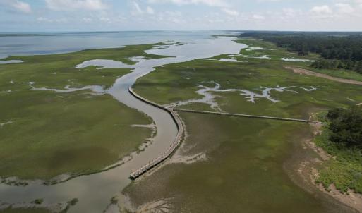 Photo #21 of 20 OYSTER RUN LANE, EASTVILLE, VA 713.0 acres