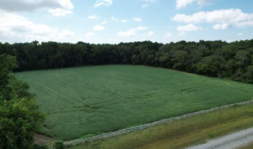 Photo #5 of 20 OYSTER RUN LANE, EASTVILLE, VA 713.0 acres
