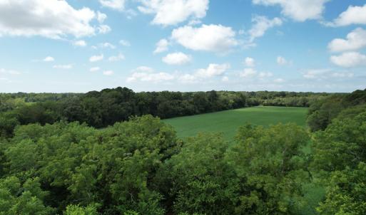 Photo #6 of 20 OYSTER RUN LANE, EASTVILLE, VA 713.0 acres