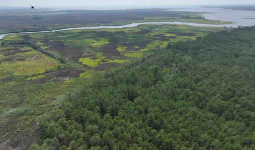 Photo #11 of SAVANNAH RD, TEMPERANCEVILLE, VA 128.2 acres
