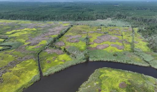 Photo #3 of SAVANNAH RD, TEMPERANCEVILLE, VA 128.2 acres