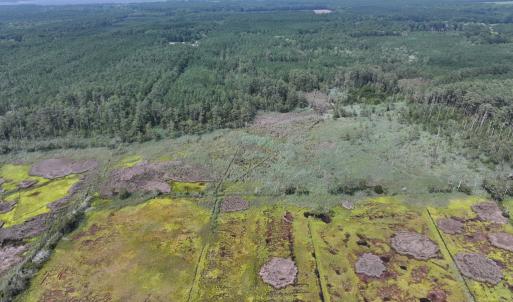 Photo #4 of SAVANNAH RD, TEMPERANCEVILLE, VA 128.2 acres