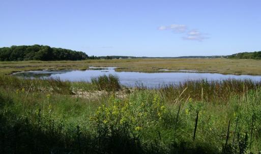 Photo #5 of SAVANNAH RD, TEMPERANCEVILLE, VA 128.2 acres