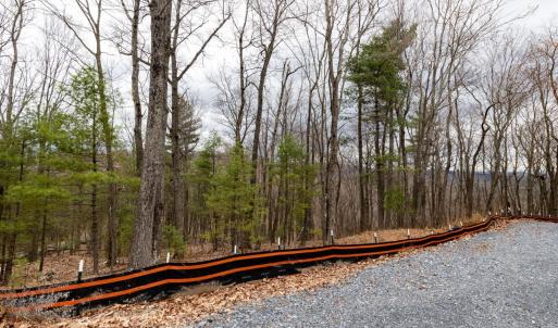 Photo #4 of TOMS PARK LN, FULKS RUN, VA 221.0 acres