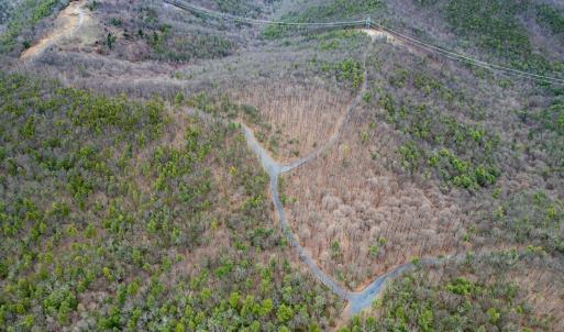 Photo #10 of TOMS PARK LN, FULKS RUN, VA 221.0 acres