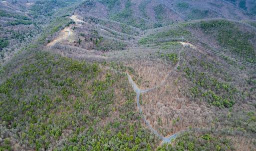 Photo #11 of TOMS PARK LN, FULKS RUN, VA 221.0 acres