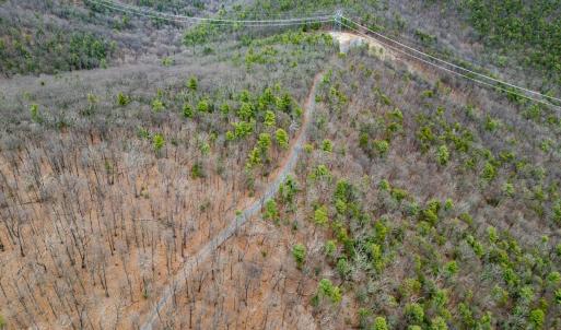 Photo #12 of TOMS PARK LN, FULKS RUN, VA 221.0 acres