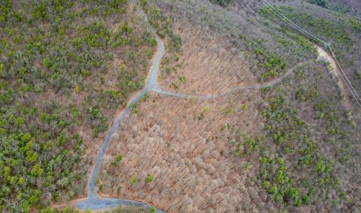 Photo #7 of TOMS PARK LN, FULKS RUN, VA 221.0 acres