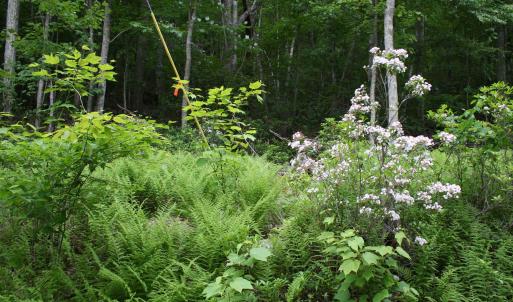 Photo #1 of HIGH VALLEY SOUTH, MONTEREY, VA 5.0 acres