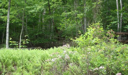 Photo #2 of HIGH VALLEY SOUTH, MONTEREY, VA 5.0 acres