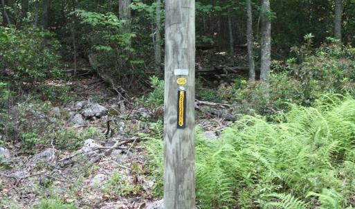Photo #1 of HIGH VALLEY SOUTH, MONTEREY, VA 5.0 acres