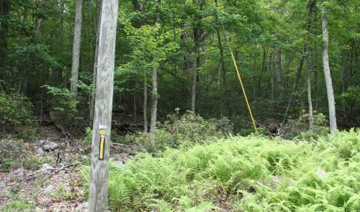 Photo #5 of HIGH VALLEY SOUTH, MONTEREY, VA 5.0 acres