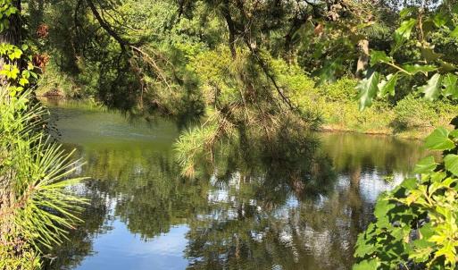 Photo #12 of Lot 3T HUNGARS POINT, MACHIPONGO, VA 4.8 acres