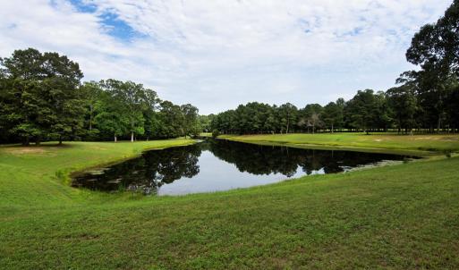 Community Pond