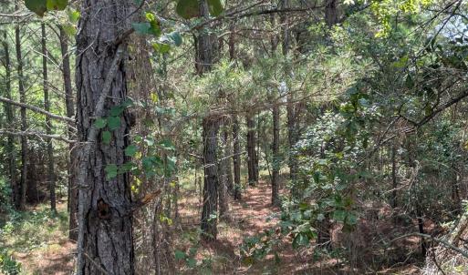 Photo #6 of Lot 10 F BAY DUNES CHASE, CAPE CHARLES, VA 2.6 acres
