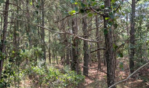 Photo #7 of Lot 10 F BAY DUNES CHASE, CAPE CHARLES, VA 2.6 acres