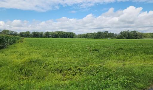 Photo #4 of . BULLBEGGAR RD, WITHAMS, VA