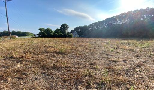 Looking across the parcel