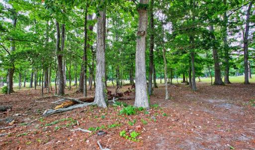 Photo #6 of 112 WILLIAM SCOTT LN, CAPE CHARLES, VA 0.2 acres