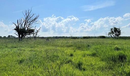 Photo #2 of Lot 117 MATTHEWS RD, SAXIS, VA 0.6 acres