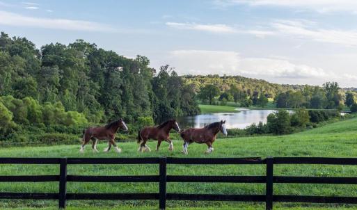Photo #42 of 510 MOUNT PLEASANT FARM ROAD, SCOTTSVILLE, VA 2,784.0 acres