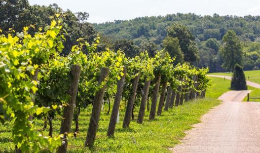 Photo #22 of 510 MOUNT PLEASANT FARM ROAD, SCOTTSVILLE, VA 2,784.0 acres