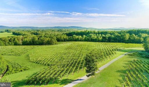 Photo #21 of 510 MOUNT PLEASANT FARM ROAD, SCOTTSVILLE, VA 2,784.0 acres