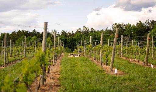 Photo #7 of 510 MOUNT PLEASANT FARM ROAD, SCOTTSVILLE, VA 2,784.0 acres