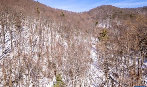 Photo #32 of SOLD property in 1301 BALKAMORE HILL RD, STANLEY, VA 305.0 acres