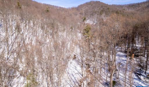 Photo #33 of SOLD property in 1301 BALKAMORE HILL RD, STANLEY, VA 305.0 acres