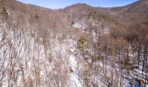 Photo #56 of SOLD property in 1301 BALKAMORE HILL RD, STANLEY, VA 305.0 acres