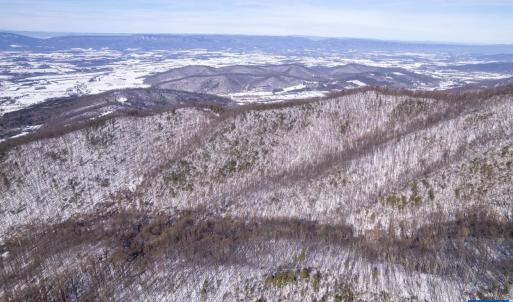 Photo #52 of SOLD property in 1301 BALKAMORE HILL RD, STANLEY, VA 305.0 acres