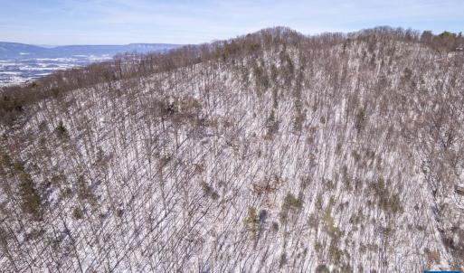 Photo #34 of SOLD property in 1301 BALKAMORE HILL RD, STANLEY, VA 305.0 acres