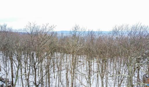Photo #4 of 1331 LAUREL SPRINGS RD, WINTERGREEN RESORT, VA 0.5 acres
