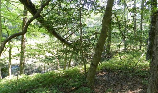 Photo #10 of Lot B6 SALTWORKS RD, JAMESVILLE, VA 4.4 acres