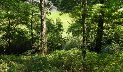 Photo #11 of Lot B6 SALTWORKS RD, JAMESVILLE, VA 4.4 acres