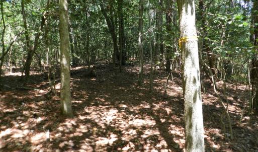 Photo #13 of Lot B6 SALTWORKS RD, JAMESVILLE, VA 4.4 acres