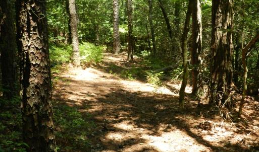 Photo #16 of Lot B6 SALTWORKS RD, JAMESVILLE, VA 4.4 acres