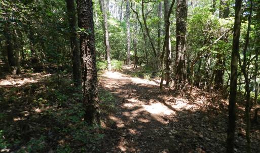 Photo #17 of Lot B6 SALTWORKS RD, JAMESVILLE, VA 4.4 acres