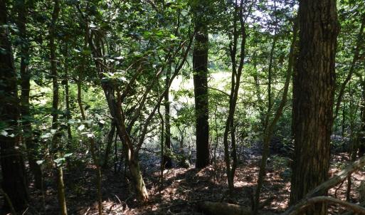 Photo #18 of Lot B6 SALTWORKS RD, JAMESVILLE, VA 4.4 acres