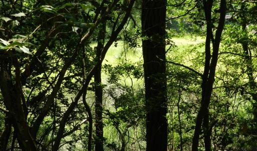 Photo #19 of Lot B6 SALTWORKS RD, JAMESVILLE, VA 4.4 acres
