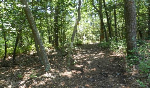 Photo #20 of Lot B6 SALTWORKS RD, JAMESVILLE, VA 4.4 acres