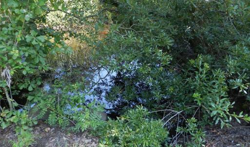Photo #21 of Lot B6 SALTWORKS RD, JAMESVILLE, VA 4.4 acres