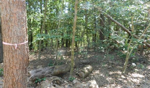 Photo #23 of Lot B6 SALTWORKS RD, JAMESVILLE, VA 4.4 acres