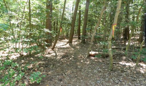 Photo #24 of Lot B6 SALTWORKS RD, JAMESVILLE, VA 4.4 acres