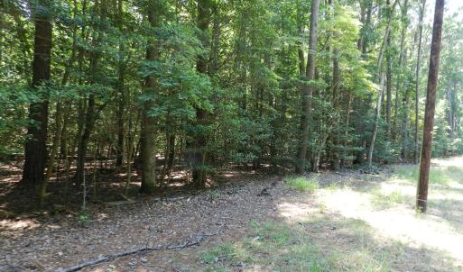 Photo #25 of Lot B6 SALTWORKS RD, JAMESVILLE, VA 4.4 acres