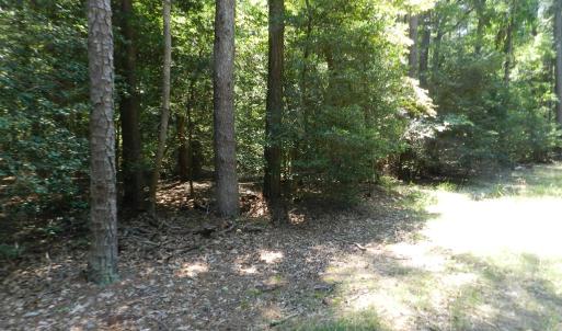 Photo #26 of Lot B6 SALTWORKS RD, JAMESVILLE, VA 4.4 acres