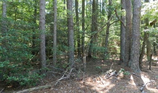 Photo #27 of Lot B6 SALTWORKS RD, JAMESVILLE, VA 4.4 acres